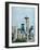 Seattle-David Dauncey-Framed Giclee Print