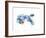 Seaturtle-Suren Nersisyan-Framed Art Print