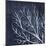 Seaweed 1-Denise Brown-Mounted Art Print