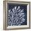 Seaweed 2-Denise Brown-Framed Art Print