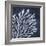 Seaweed 2-Denise Brown-Framed Art Print