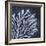 Seaweed 2-Denise Brown-Framed Art Print
