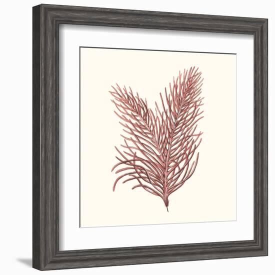 Seaweed Collection II-Vision Studio-Framed Art Print