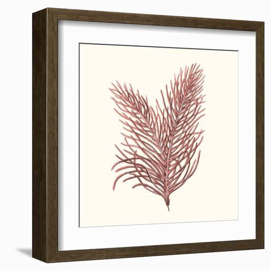 Seaweed Collection II-Vision Studio-Framed Art Print