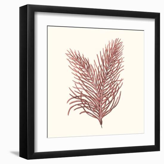 Seaweed Collection II-Vision Studio-Framed Art Print