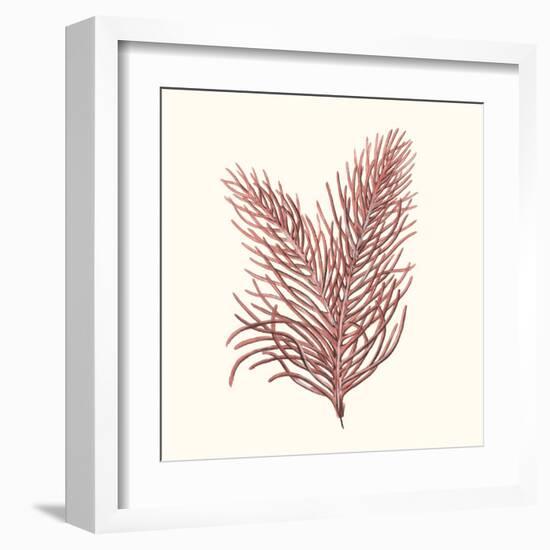 Seaweed Collection II-Vision Studio-Framed Art Print