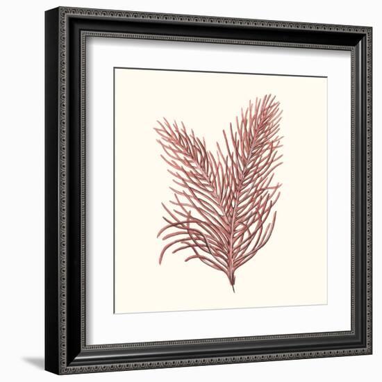 Seaweed Collection II-Vision Studio-Framed Art Print