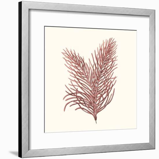 Seaweed Collection II-Vision Studio-Framed Art Print