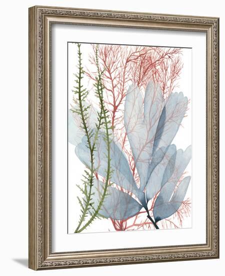 Seaweed Flow I-Grace Popp-Framed Art Print