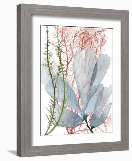 Seaweed Flow I-Grace Popp-Framed Art Print