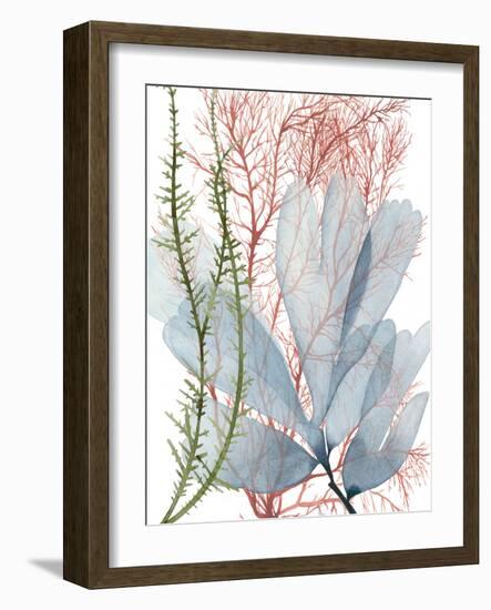 Seaweed Flow I-Grace Popp-Framed Art Print