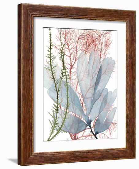 Seaweed Flow I-Grace Popp-Framed Art Print