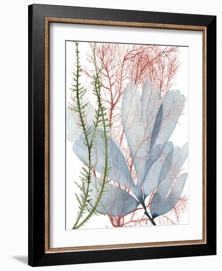 Seaweed Flow I-Grace Popp-Framed Art Print