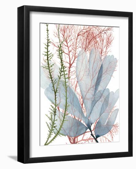 Seaweed Flow I-Grace Popp-Framed Art Print