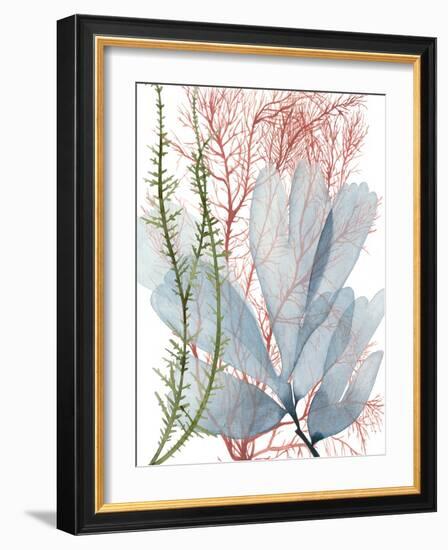 Seaweed Flow I-Grace Popp-Framed Art Print