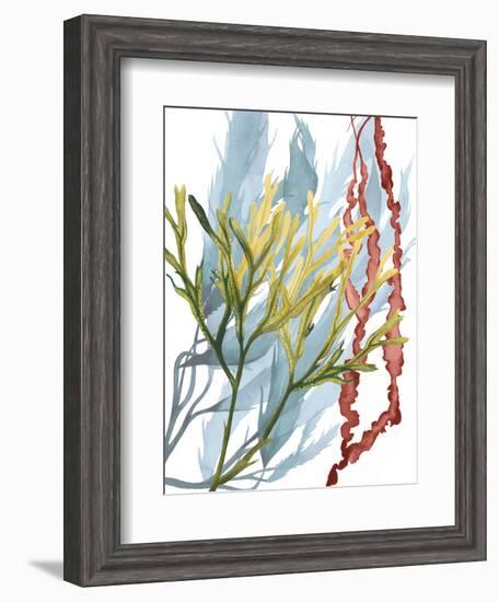 Seaweed Flow II-Grace Popp-Framed Art Print