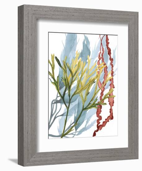 Seaweed Flow II-Grace Popp-Framed Art Print