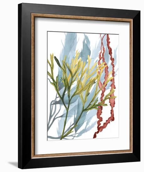 Seaweed Flow II-Grace Popp-Framed Art Print
