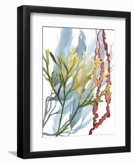 Seaweed Flow II-Grace Popp-Framed Art Print