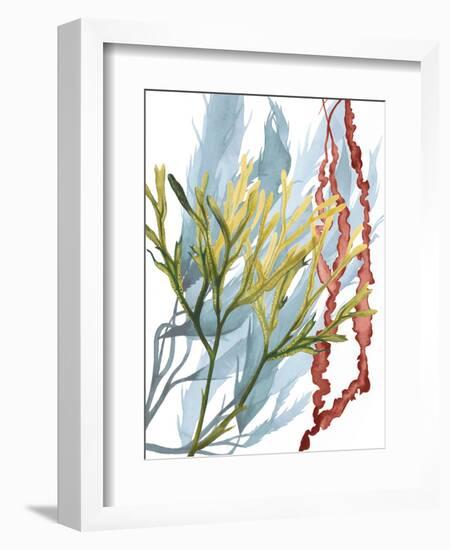 Seaweed Flow II-Grace Popp-Framed Art Print