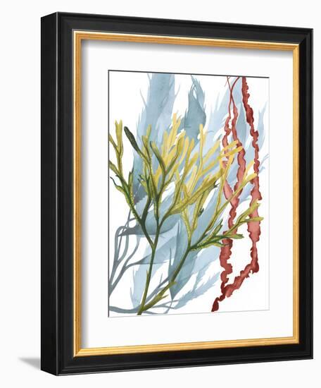 Seaweed Flow II-Grace Popp-Framed Art Print