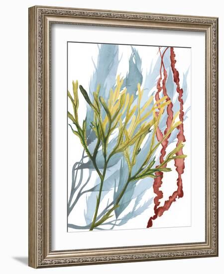 Seaweed Flow II-Grace Popp-Framed Art Print