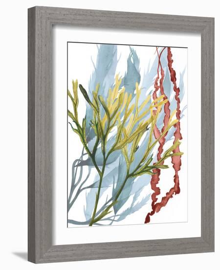 Seaweed Flow II-Grace Popp-Framed Art Print