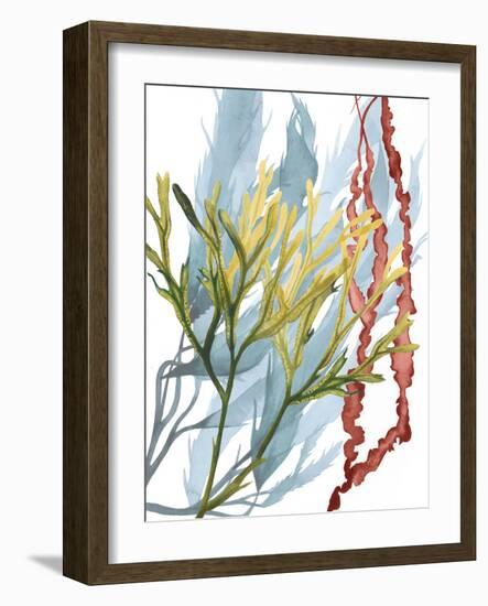 Seaweed Flow II-Grace Popp-Framed Art Print