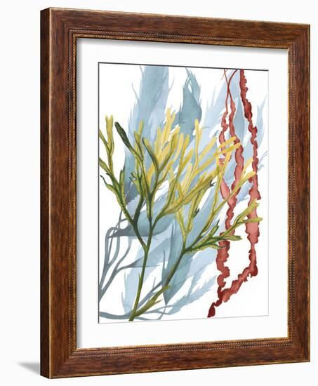 Seaweed Flow II-Grace Popp-Framed Art Print