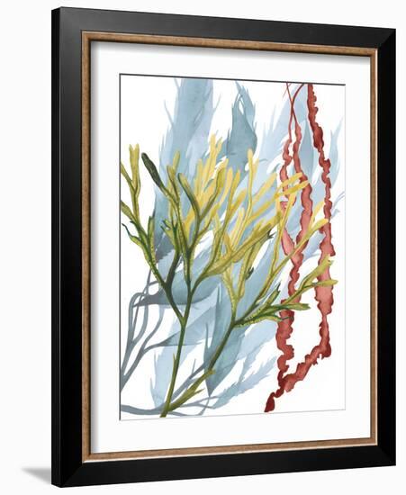 Seaweed Flow II-Grace Popp-Framed Art Print