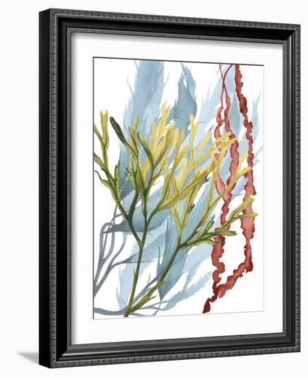 Seaweed Flow II-Grace Popp-Framed Art Print