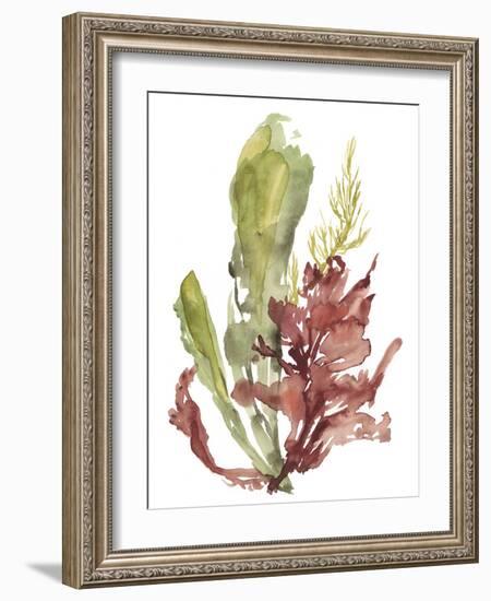 Seaweed Garden I-Jennifer Goldberger-Framed Art Print