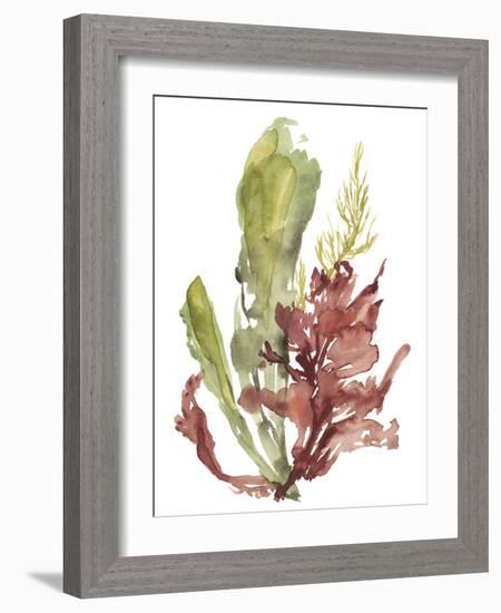 Seaweed Garden I-Jennifer Goldberger-Framed Art Print