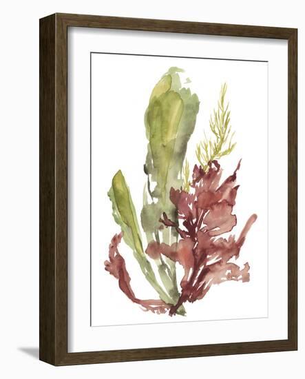 Seaweed Garden I-Jennifer Goldberger-Framed Art Print