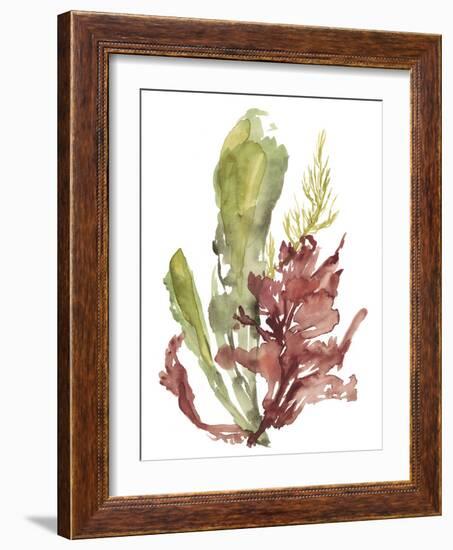 Seaweed Garden I-Jennifer Goldberger-Framed Art Print