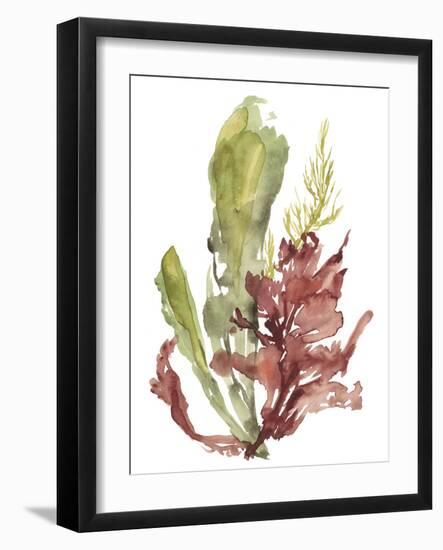 Seaweed Garden I-Jennifer Goldberger-Framed Art Print