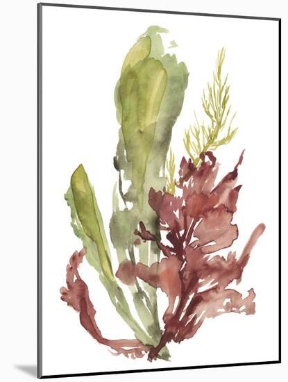 Seaweed Garden I-Jennifer Goldberger-Mounted Art Print