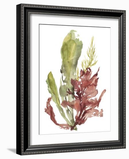 Seaweed Garden I-Jennifer Goldberger-Framed Art Print