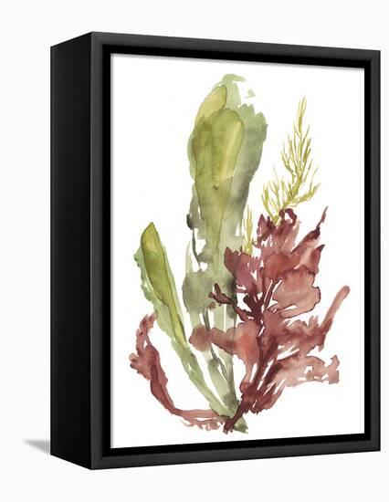 Seaweed Garden I-Jennifer Goldberger-Framed Stretched Canvas