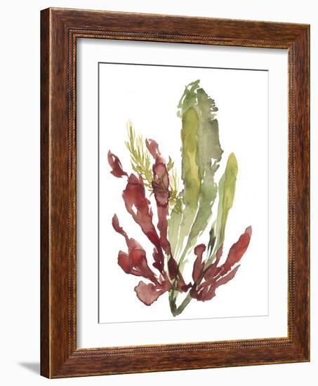 Seaweed Garden II-Jennifer Goldberger-Framed Art Print