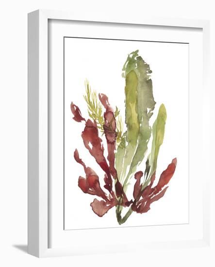 Seaweed Garden II-Jennifer Goldberger-Framed Art Print