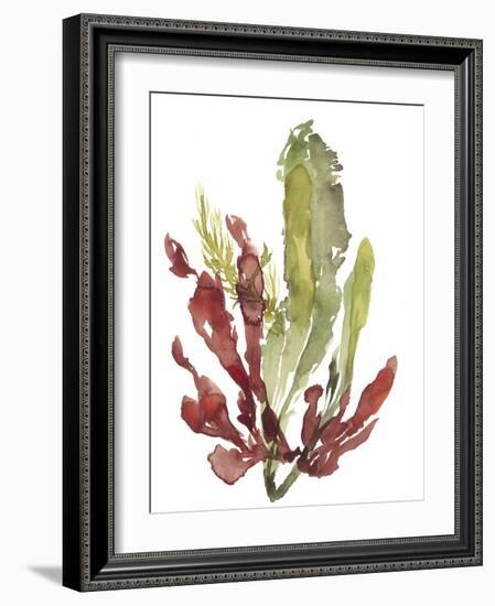 Seaweed Garden II-Jennifer Goldberger-Framed Art Print