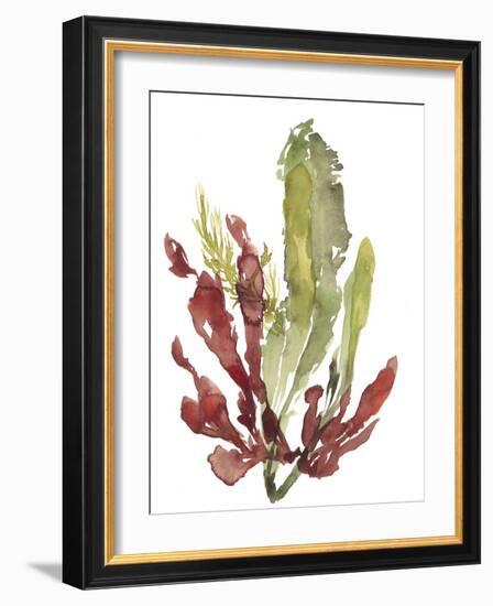Seaweed Garden II-Jennifer Goldberger-Framed Art Print