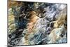 seaweed, kelp and sand-Heidi Westum-Mounted Photographic Print