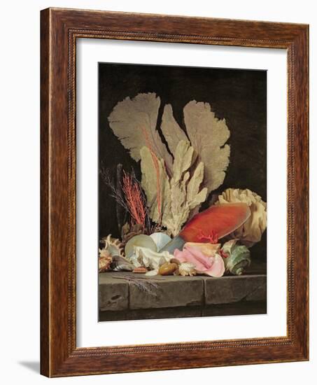 Seaweed, Lithophytes and Seashells-Anne Vallayer-coster-Framed Giclee Print