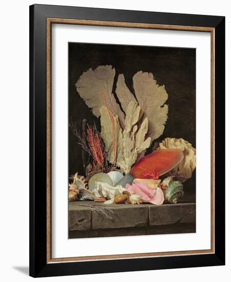 Seaweed, Lithophytes and Seashells-Anne Vallayer-coster-Framed Giclee Print