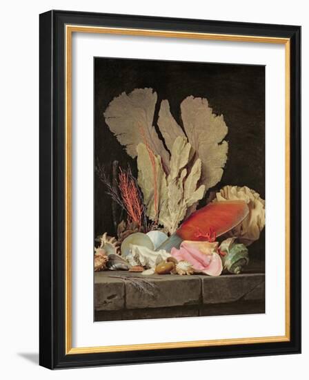 Seaweed, Lithophytes and Seashells-Anne Vallayer-coster-Framed Giclee Print