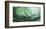 Seaweed on a Wave-Margaret Juul-Framed Art Print