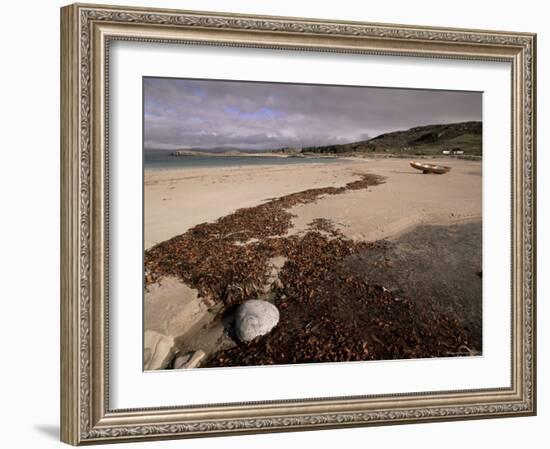 Seaweed on Beach, Mellon Udrigle, Wester Ross, Highland Region, Scotland, United Kingdom-Neale Clarke-Framed Photographic Print