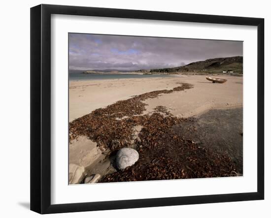 Seaweed on Beach, Mellon Udrigle, Wester Ross, Highland Region, Scotland, United Kingdom-Neale Clarke-Framed Photographic Print